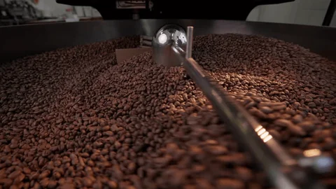 Roasted in small batches, on clean energy.